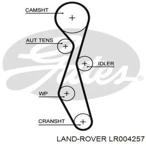 Do koszyka LR004257 Land Rover Pasek rozrządu