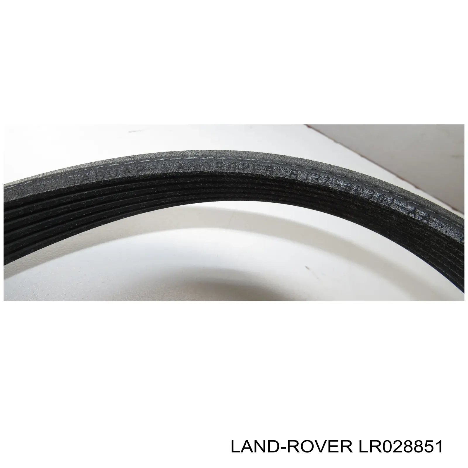 Do koszyka LR028851 Land Rover Pas napędowy mechanizmów