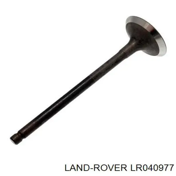 Prowadnica napinacza łańcucha rozrządu Land Rover LR010769 cena, od 81,56 USD