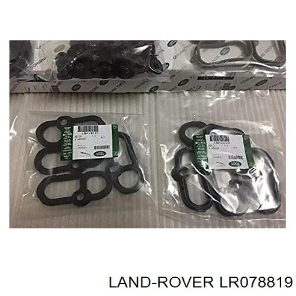Uszczelniacz zaworu dolotowego/wylotowego Land Rover LR078819 cena, od 3,96 USD