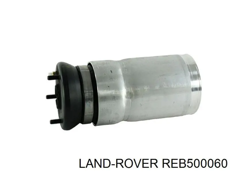 REB500060 Land Rover Poduszka pneumatyczna (resor pneumatyczny) mostu przedniego