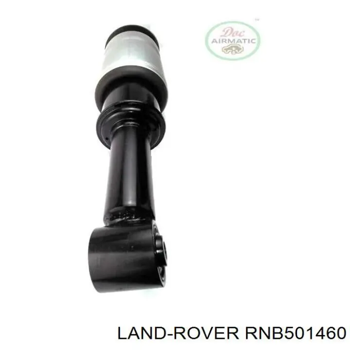 Do koszyka RNB501460 Land Rover Amortyzator przedni
