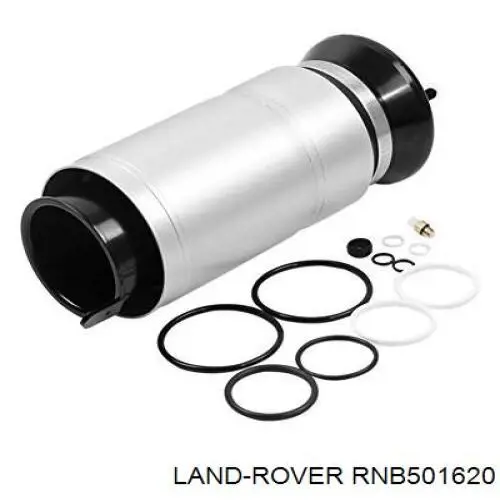 Do koszyka RNB501620 Land Rover Amortyzator przedni