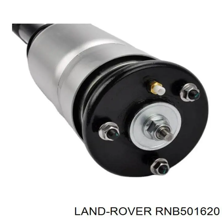 Amortyzator przedni Land Rover RNB501620 cena, od 299,76 USD