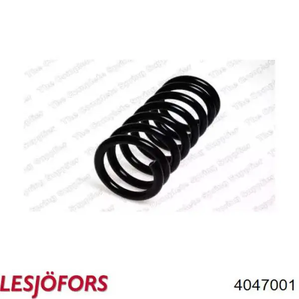 Sprężyna przednia 21212902712 Rider