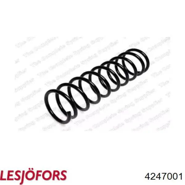 SR109TP Raiso Sprężyna tylna