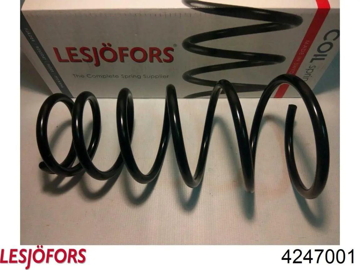 Sprężyna tylna SR109TP Raiso