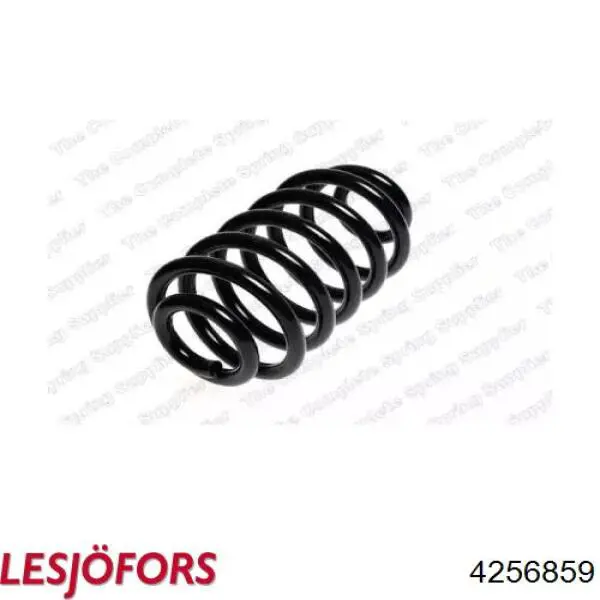 Do koszyka 4256859 Lesjofors Sprężyna tylna