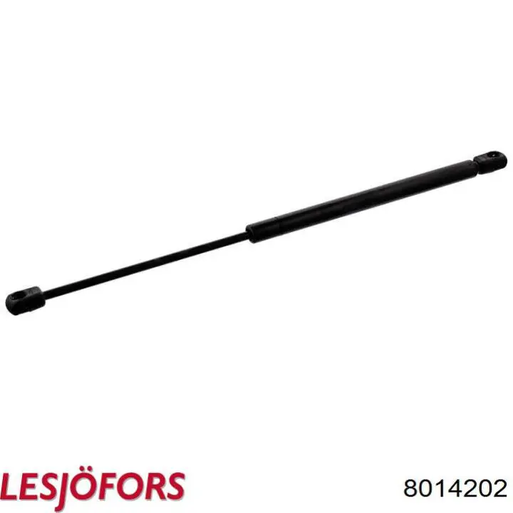 Amortyzator maski General Motors 95494362 cena, od 17,14 USD