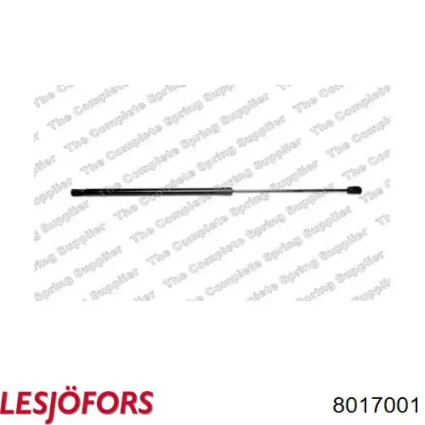 Amortyzator maski Lesjofors 8017001 cena, od 14,69 USD