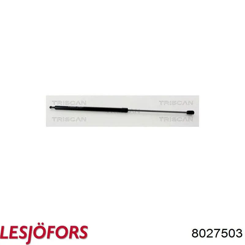 Amortyzator maski Ford 2018961 cena, od 40,86 USD