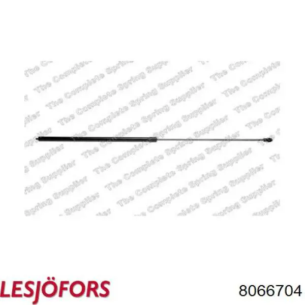 Amortyzator maski Lesjofors 8066704 cena, od 15,06 USD