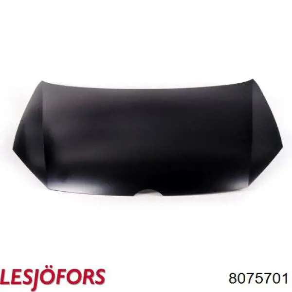 Amortyzator maski Lesjofors 8075701 cena, od 14,85 USD