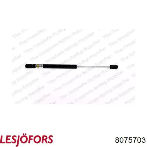 Amortyzator maski Lesjofors 8075703 cena, od 16,85 USD