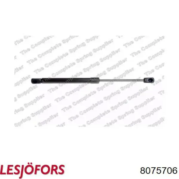 Amortyzator maski Lesjofors 8075706 cena, od 40,86 USD