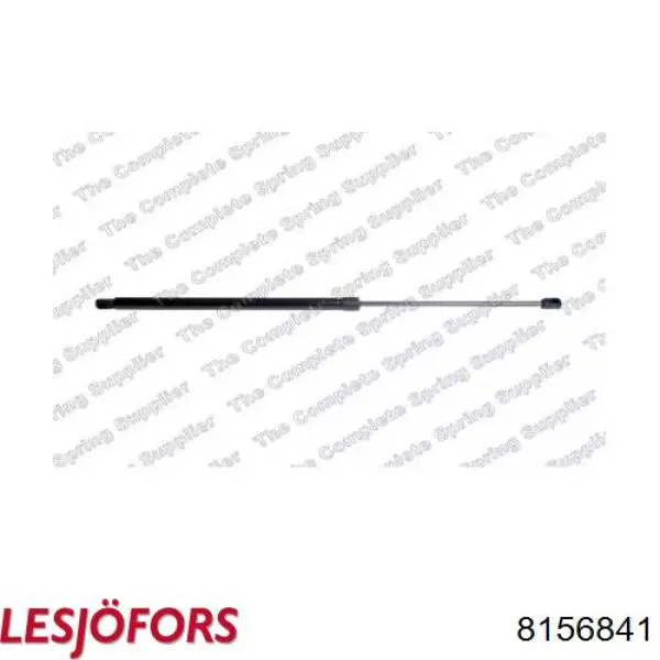 Do koszyka 642221 Stabilus Amortyzator klapy bagażnika (3/5 drzwi-tylnych)