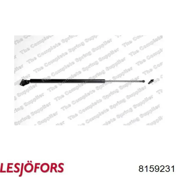 Amortyzator klapy bagażnika (3/5 drzwi-tylnych) Mitsubishi Grandis minivan (NAW) (2004 - 2010) cena, od 31,84 USD