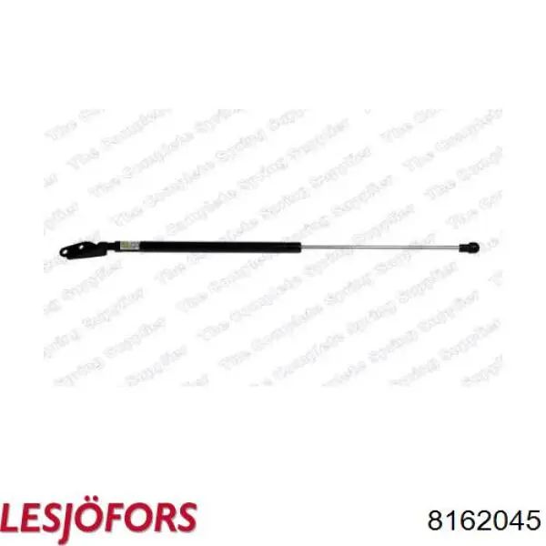 Amortyzator klapy bagażnika (3/5 drzwi-tylnych) Nissan/Infiniti 904508H327 cena, od 21,95 USD