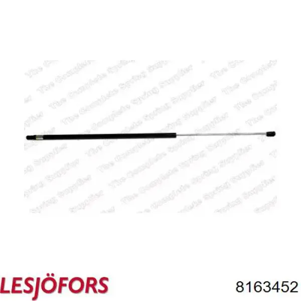 Amortyzator klapy bagażnika (3/5 drzwi-tylnych) Lesjofors 8163452 cena, od 15,61 USD