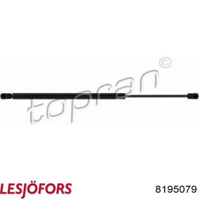 Amortyzator klapy bagażnika (3/5 drzwi-tylnych) Lesjofors 8195079 cena, od 14,71 USD
