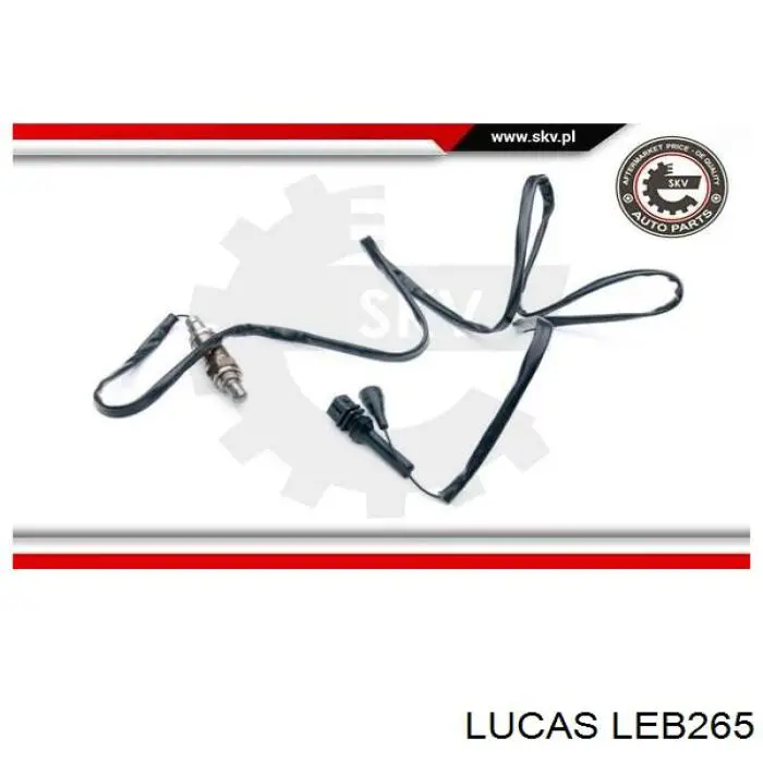 Sonda lambda, czujnik tlenu DBC6907 Jaguar