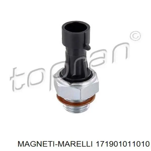 171901011010 Magneti Marelli Czujnik ciśnienia oleju