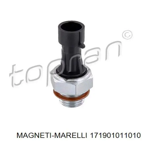 Do koszyka 171901011010 Magneti Marelli Czujnik ciśnienia oleju