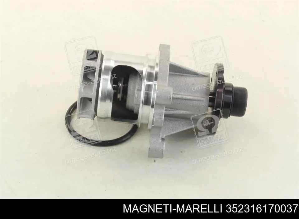 Do koszyka WPQ0037 Magneti Marelli Pompa chłodząca wodna