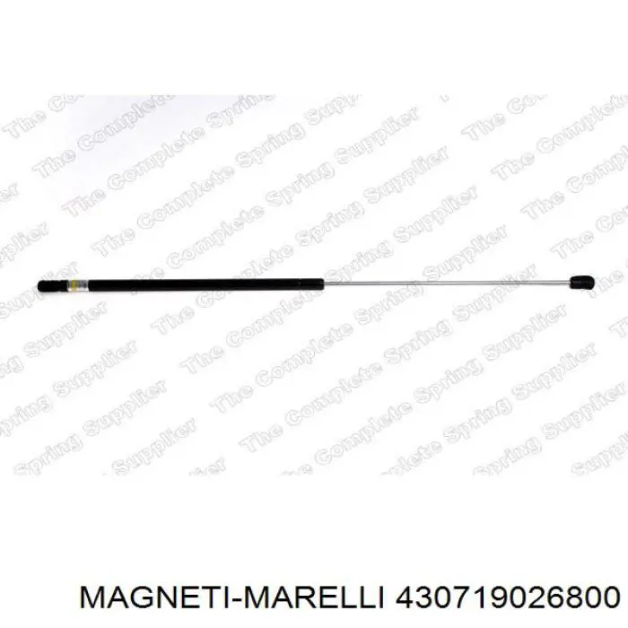 430719026800 Magneti Marelli amortyzator maski