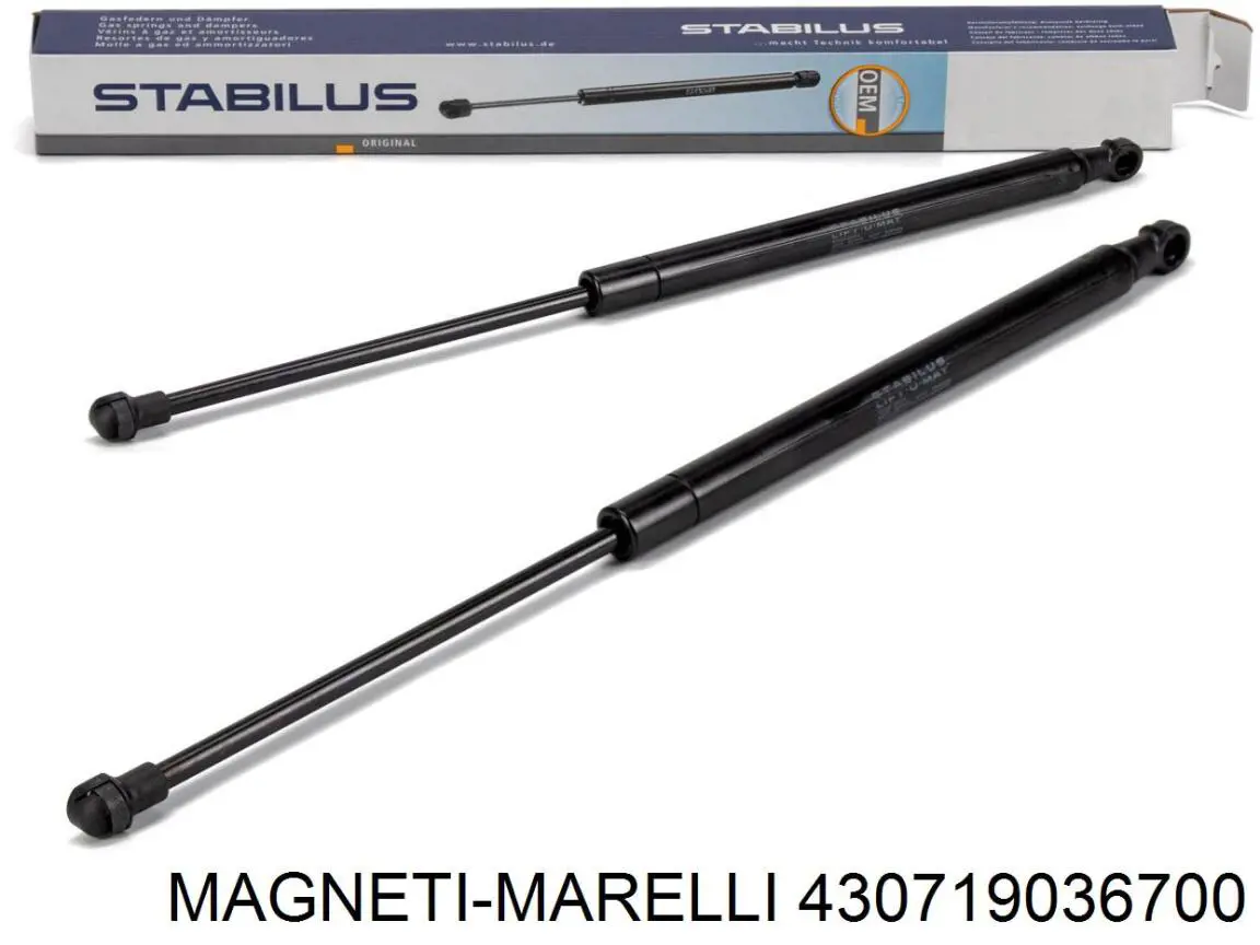 Amortyzator klapy bagażnika (3/5 drzwi-tylnych) Magneti Marelli 430719036700 cena, od 11,73 USD
