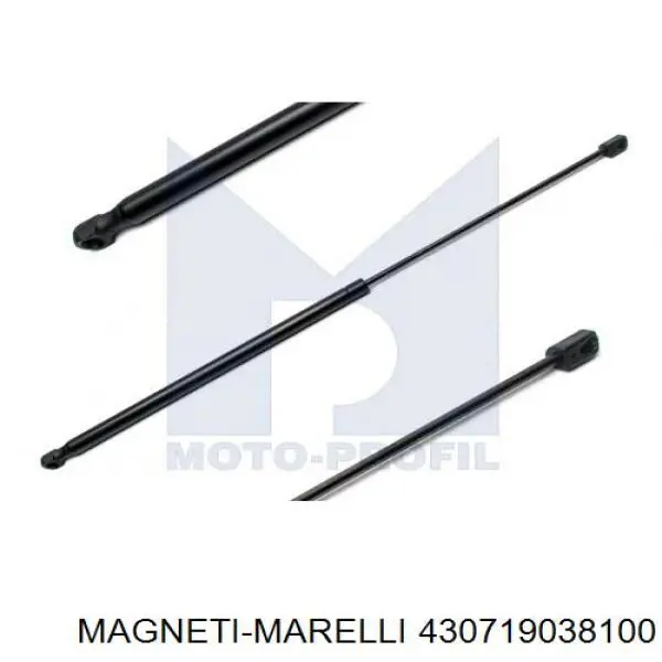 430719038100 Magneti Marelli amortyzator maski