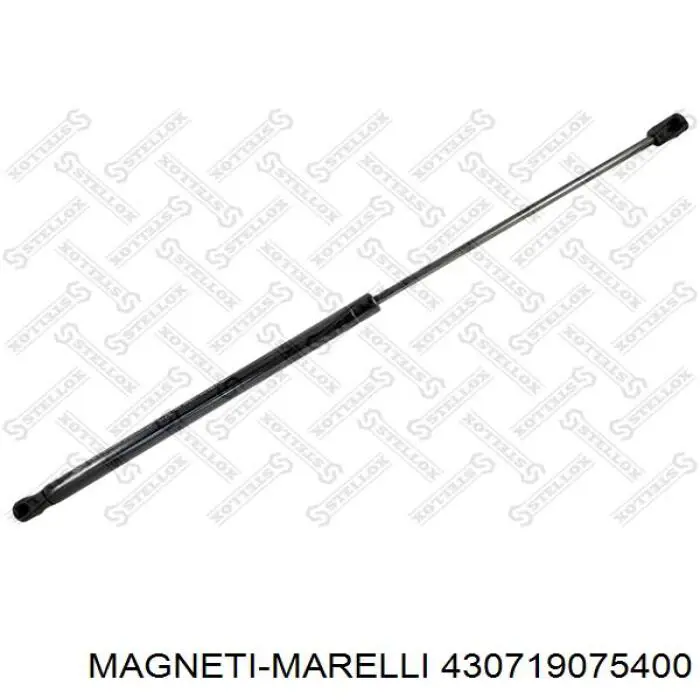 Do koszyka 430719075400 Magneti Marelli Amortyzator maski