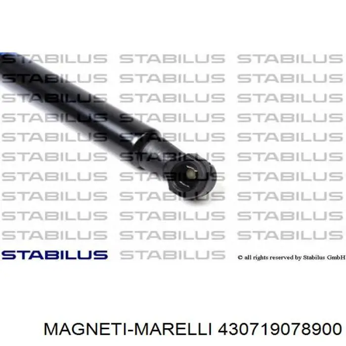 Amortyzator klapy bagażnika (3/5 drzwi-tylnych) Magneti Marelli 430719078900 cena, od 13,54 USD