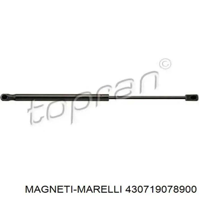 430719078900 Magneti Marelli Amortyzator klapy bagażnika (3/5 drzwi-tylnych)