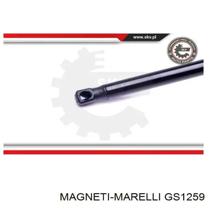 GS1259 Magneti Marelli Amortyzator klapy bagażnika (3/5 drzwi-tylnych)
