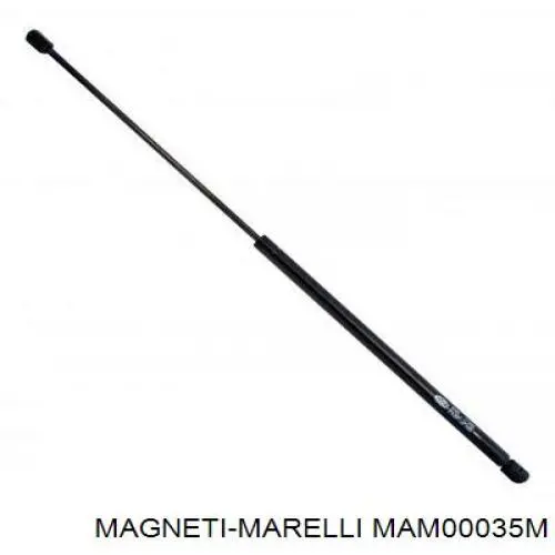 Moduł pompy paliwowej z czujnikiem poziomu paliwa Magneti Marelli MAM00035M