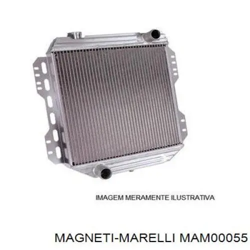 Moduł pompy paliwowej z czujnikiem poziomu paliwa MAM00055 Magneti Marelli