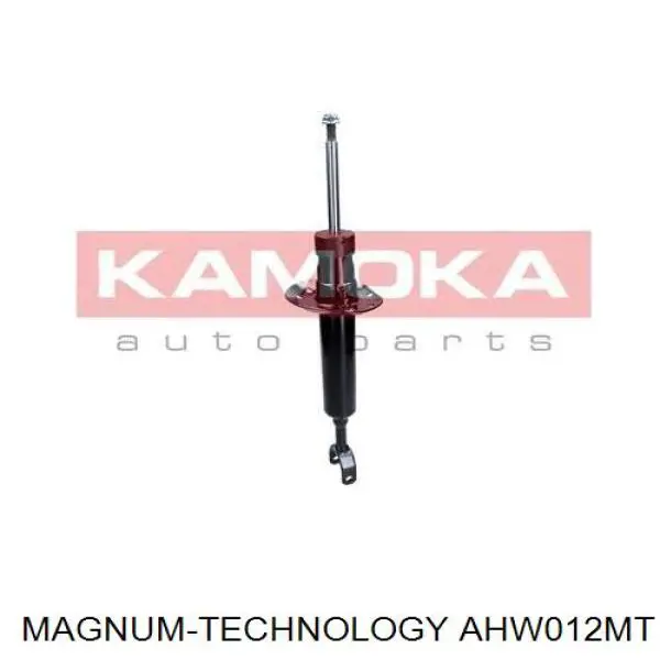 Amortyzator przedni RS170381 Raiso