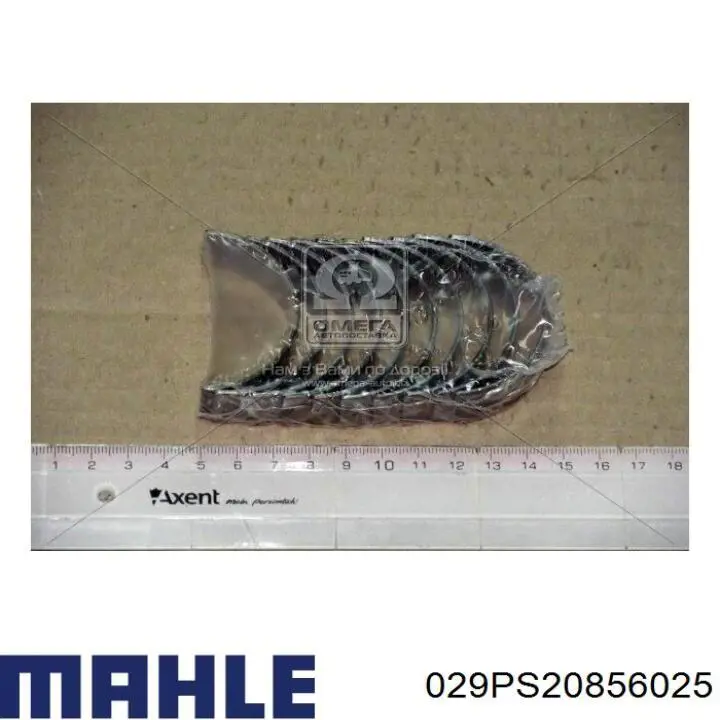 029PS20856025 Mahle Original Panewki korbowodowe wału korbowego, zestaw, 1. naprawa (+0,25)