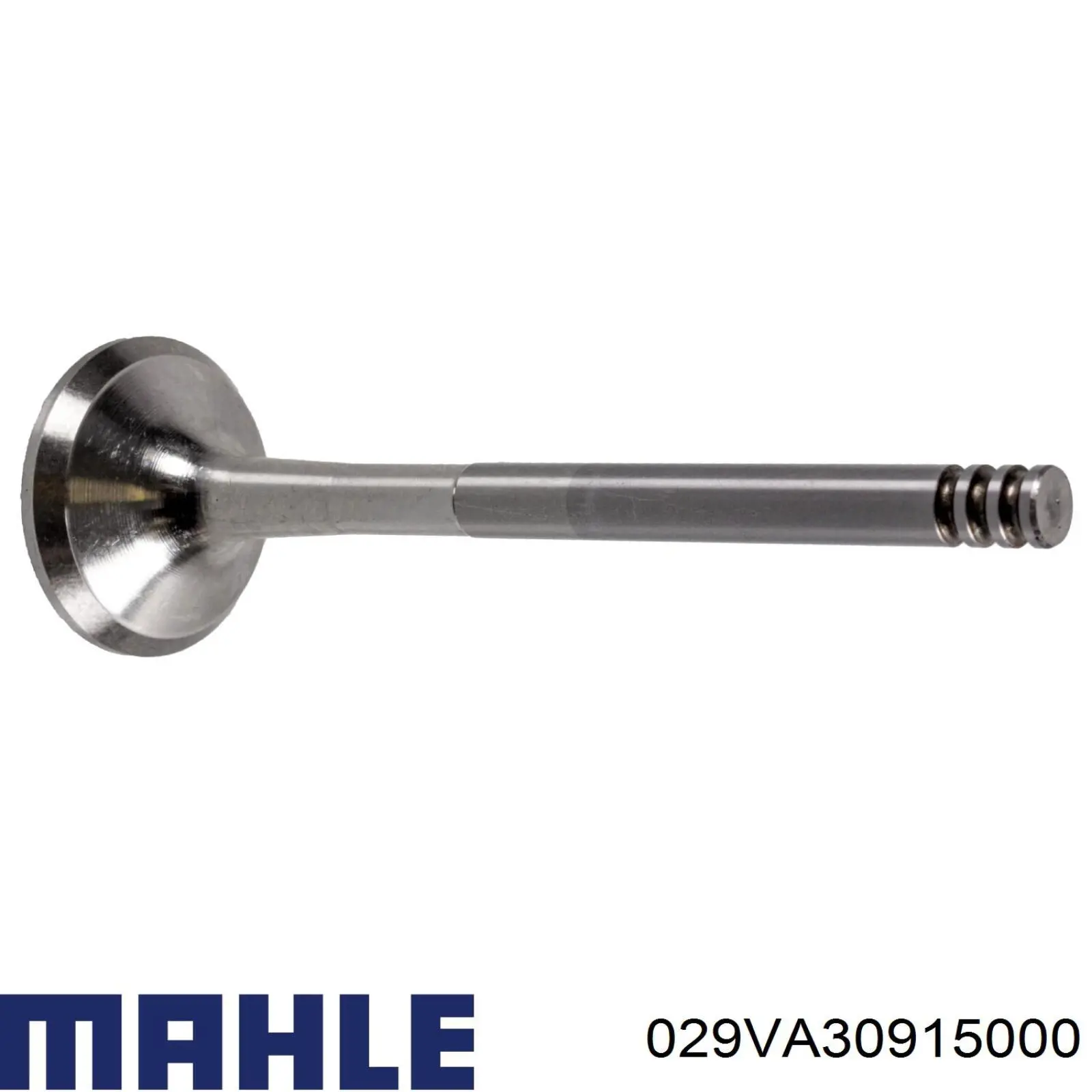 Zawór wydechowy Mahle Original 029VA30915000 cena, od 15,30 USD