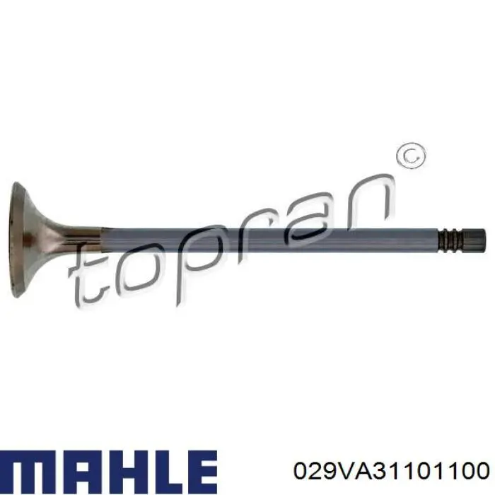 029VA31101100 Mahle Original Zawór wydechowy