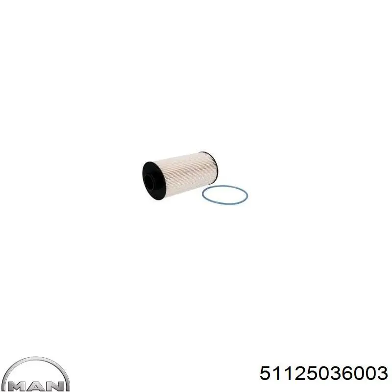 Do koszyka PU10019Z Mann-Filter Filtr paliwa
