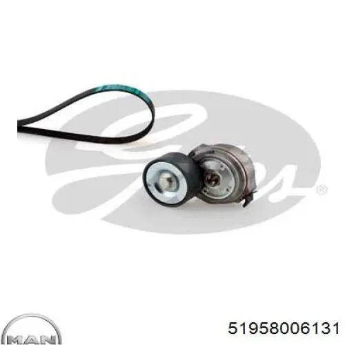 Do koszyka 51958006131 MAN Pasek napędowy mechanizmów, zestaw