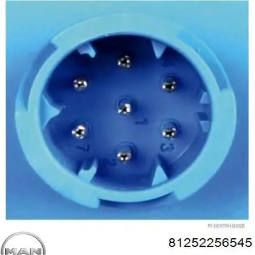 81252256545 MAN Lampa zespolona tylna prawa