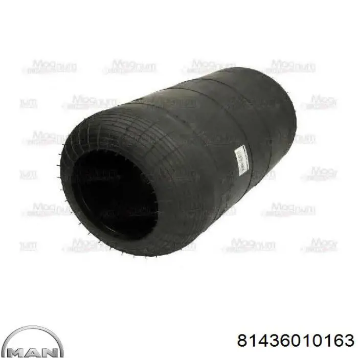 Poduszka pneumatyczna (resor pneumatyczny) mostu przedniego MAN 81436010163 cena, od 48,59 USD