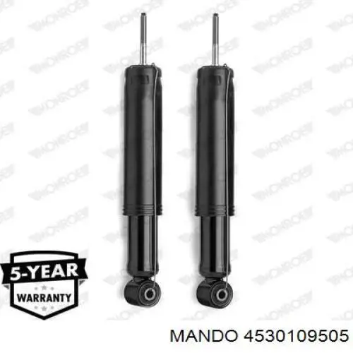 Do koszyka RS109505 Raiso Amortyzator tylny