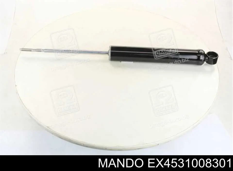 Amortyzator tylny RS317595 Raiso