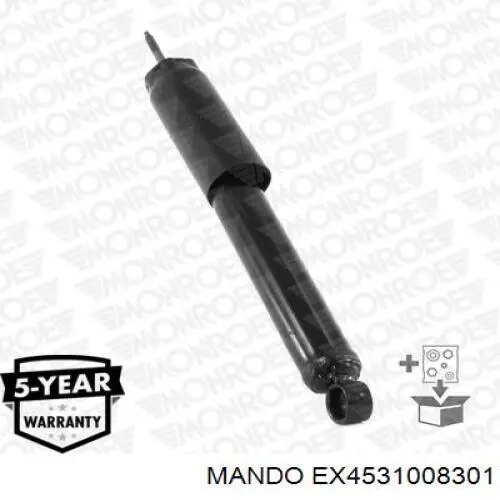 Amortyzator tylny RS317595 Raiso