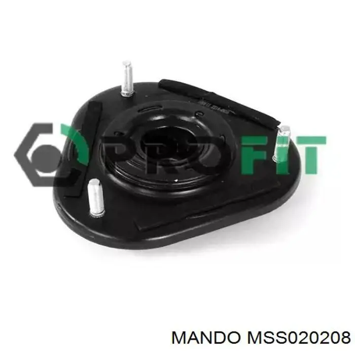 Do koszyka RS316881 Raiso Amortyzator tylny