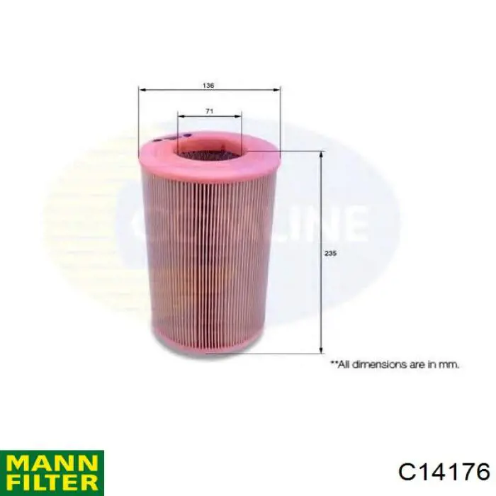 Do koszyka C14176 Mann-Filter Filtr powietrza